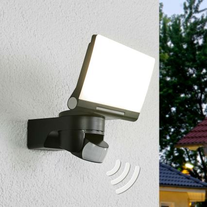 Steinel 065447 - LED Flood light with sensor XLED HOME LED/13,5W/230V IP44 black