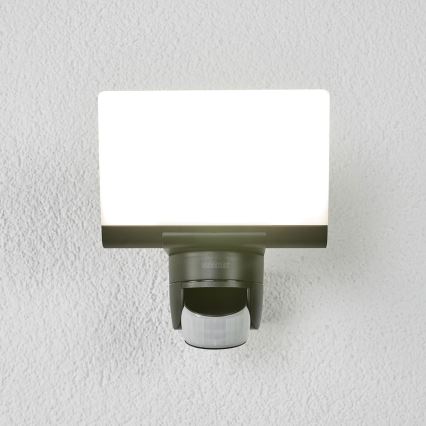 Steinel 065447 - LED Flood light with sensor XLED HOME LED/13,5W/230V IP44 black