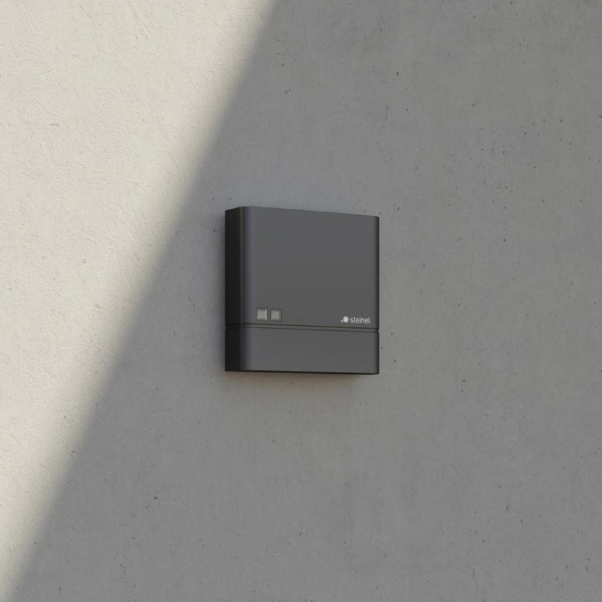 Steinel 066116 - Dusk switch NIGHTMATIQ Plus IP54 anthracite