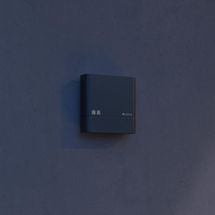 Steinel 066116 - Dusk switch NIGHTMATIQ Plus IP54 anthracite