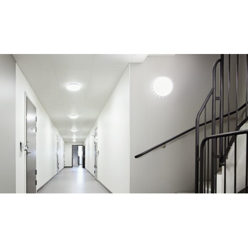 Steinel 068042 - LED Ceiling light with a sensor RS PRO S30 SC 25,8W/230V 4000K