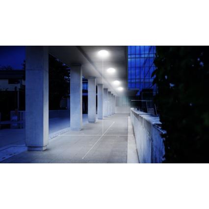 Steinel 068196 - LED Bathroom ceiling light with sensor DL Vario Quattro PRO S LED/14W/230V 4000K IP54