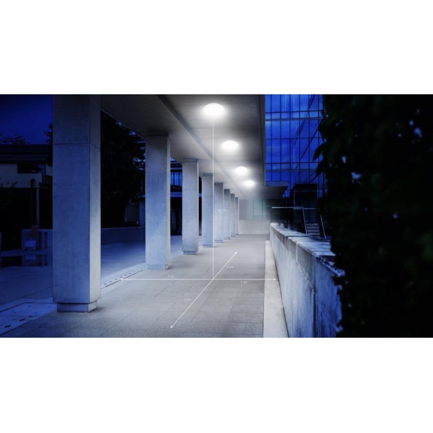 Steinel 068202 - LED Bathroom ceiling light with sensor DL Vario Quattro PRO S LED/14W/230V 3000K IP54