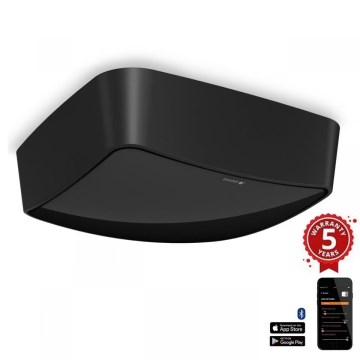 Steinel 068493 - Presence detector TRUE PRESENCE COM1 IP54 black