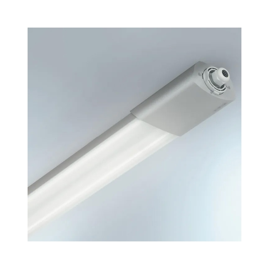 Steinel 079185 - LED Heavy-duty light with a sensor RS PRO 5100 SC LED/31W/230V IP66