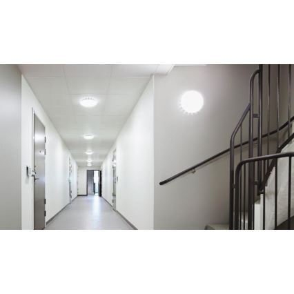 Steinel 079772 - LED Outdoor ceiling light with a sensor RS PRO S20 SC LED/15,7W/230V IP65 4000K