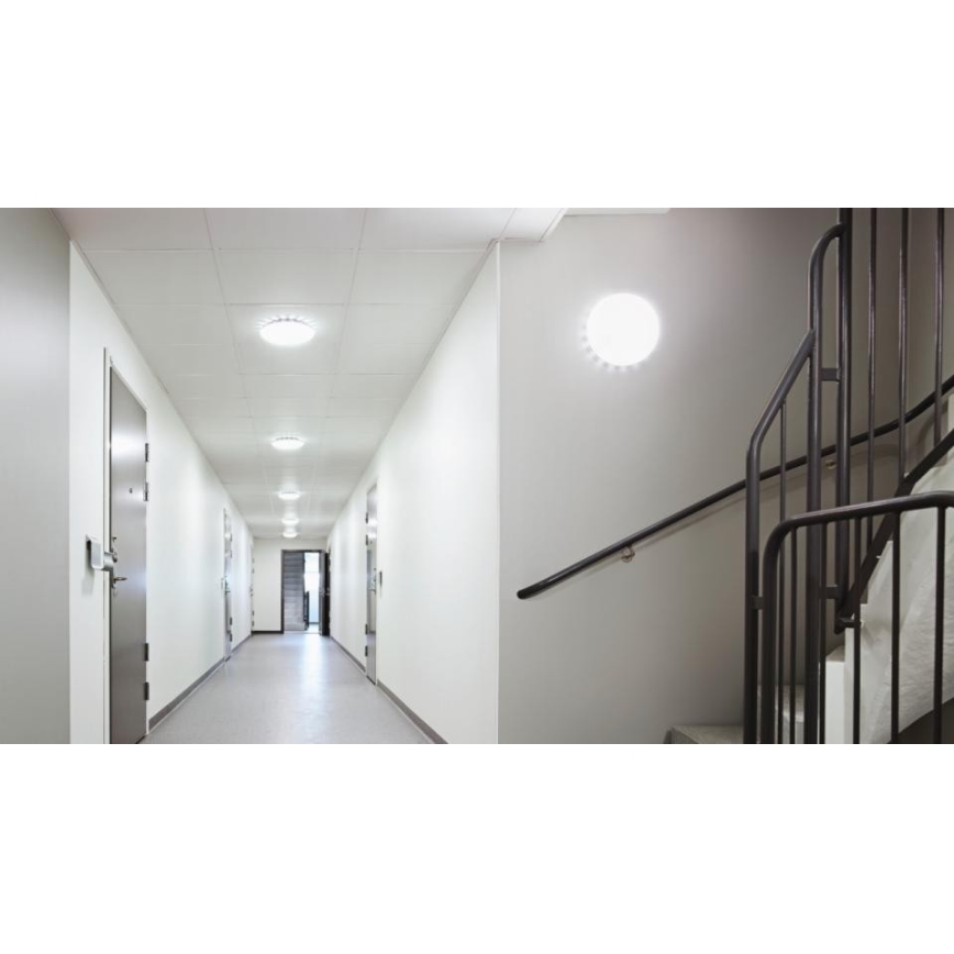 Steinel 079772 - LED Outdoor ceiling light with a sensor RS PRO S20 SC LED/15,7W/230V IP65 4000K