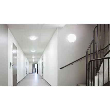 Steinel 081935 - SET 5x LED Ceiling light with a sensor RS PRO S10 SC LED/9,1W/230V 3000K