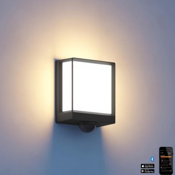 Steinel 085247 - LED Dimmable outdoor wall light with sensor L40SC LED/12,9W/230V