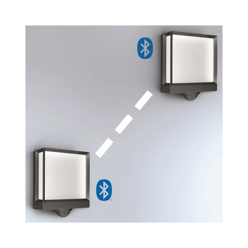 Steinel 085247 - LED Dimmable outdoor wall light with sensor L40SC LED/12,9W/230V