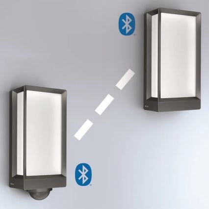 Steinel 085254 - LED Dimmable outdoor wall light L42C LED/12,6W/230V IP54