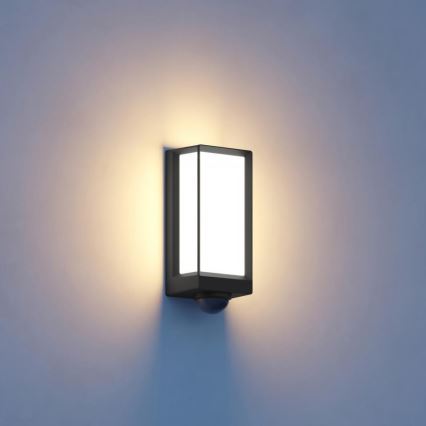 Steinel 085261 - LED Dimmable outdoor wall light with sensor L42SC LED/13W/230V IP54