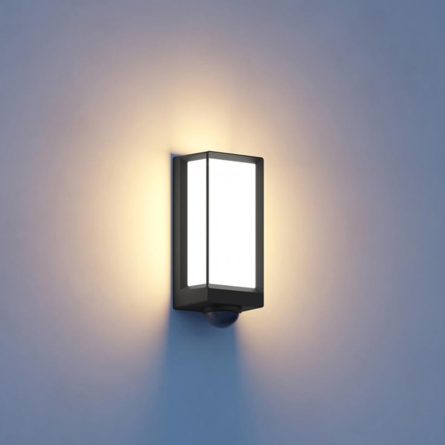 Steinel 085261 - LED Dimmable outdoor wall light with sensor L42SC LED/13W/230V IP54