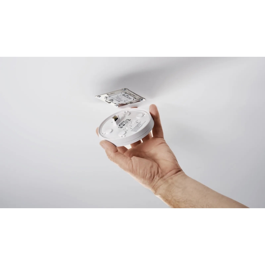 Steinel 088262 - Motion sensor with a presence sensor PD-24 ECO DALI-2 360° black