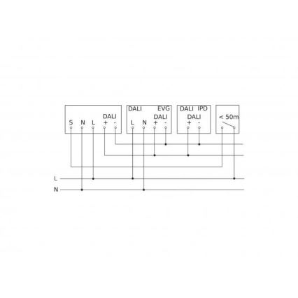 Steinel 088262 - Motion sensor with a presence sensor PD-24 ECO DALI-2 360° black