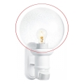 Steinel 1086417 - Replacement glass for wall light L 70X/590/535/560/585