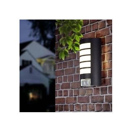 STEINEL 657819 - Outdoor light with sensor L12 1xE27/60W/230V IP44
