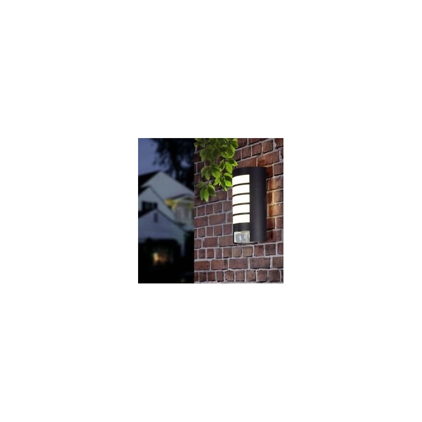 STEINEL 657819 - Outdoor light with sensor L12 1xE27/60W/230V IP44