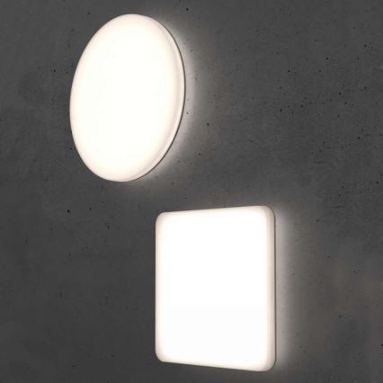 Steinel 067809 - LED Dimmable ceiling light with a sensor RS PRO R10 BASIC SC LED/8,5W/230V 4000K IP40
