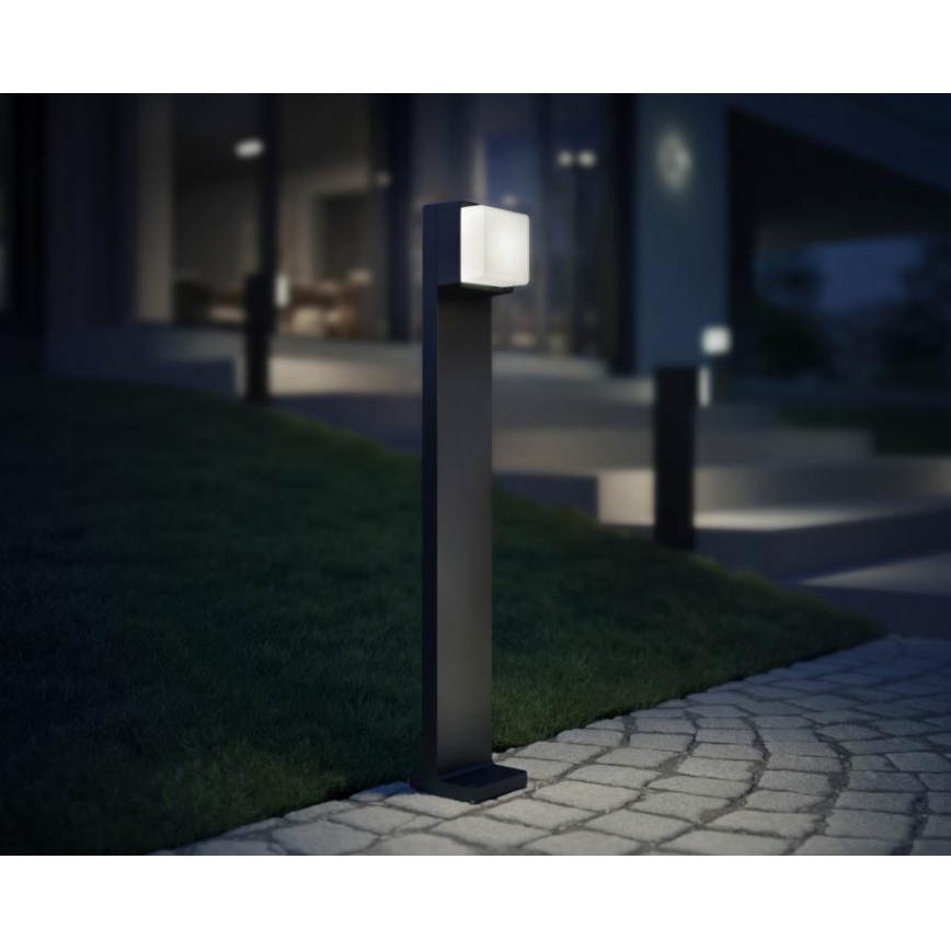 Steinel 078669 - LED Dimmable outdoor lamp with sensor GL 85 SC 600 LED/9W/230V 3000K IP44