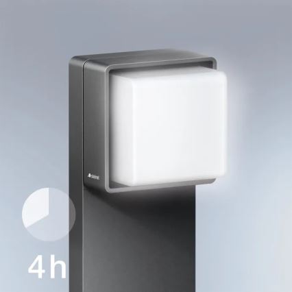 Steinel 078669 - LED Dimmable outdoor lamp with sensor GL 85 SC 600 LED/9W/230V 3000K IP44