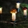 string lights TOADSTOOL 12xE10 10,7m warm white, Made in the Czech Republic
