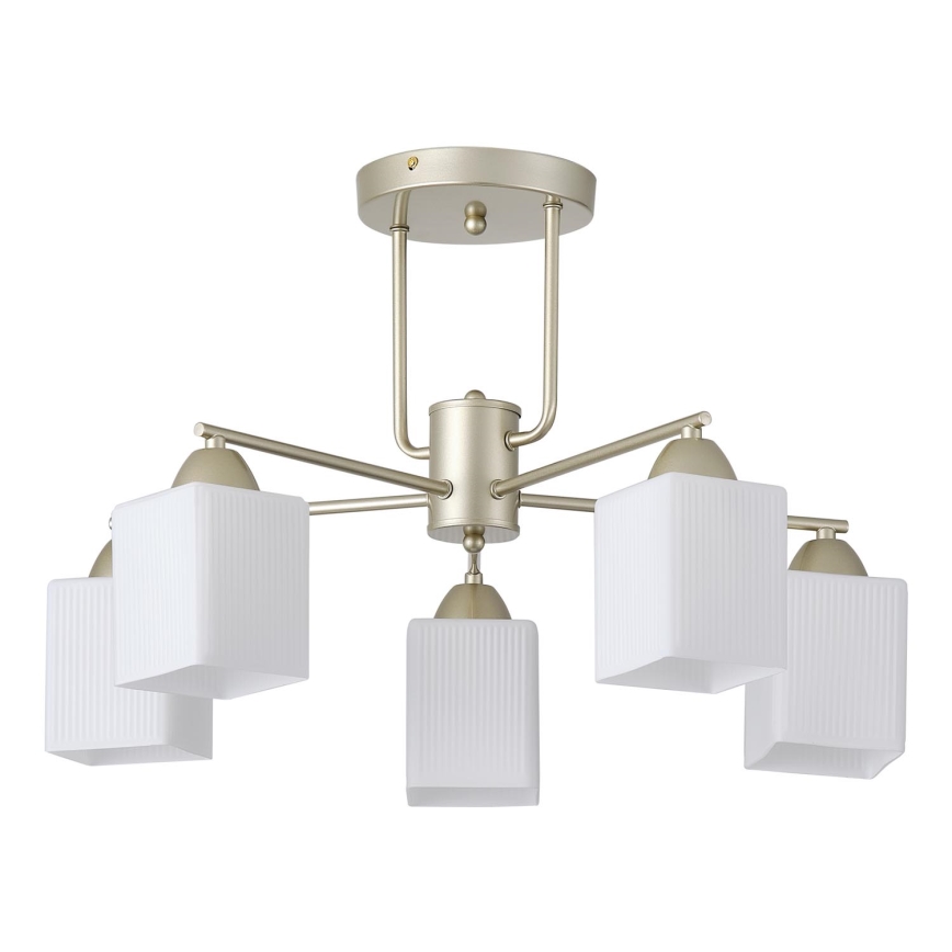 Surface-mounted chandelier 5xE27/60W/230V