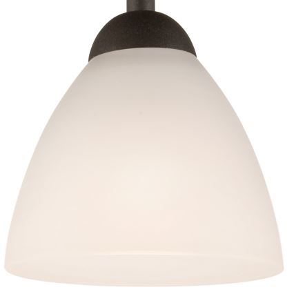 Surface-mounted chandelier ADRIANO 1xE27/60W/230V beech