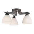 Surface-mounted chandelier ADRIANO 3xE27/60W/230V beech