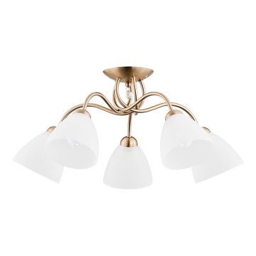 Surface-mounted chandelier AMARILLO 5xE27/15W/230V gold