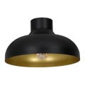 Surface-mounted chandelier BASCA 1xE27/60W/230V