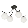 Surface-mounted chandelier BOSTON 4xE14/10W/230V black