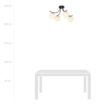 Surface-mounted chandelier BOSTON 4xE14/10W/230V black
