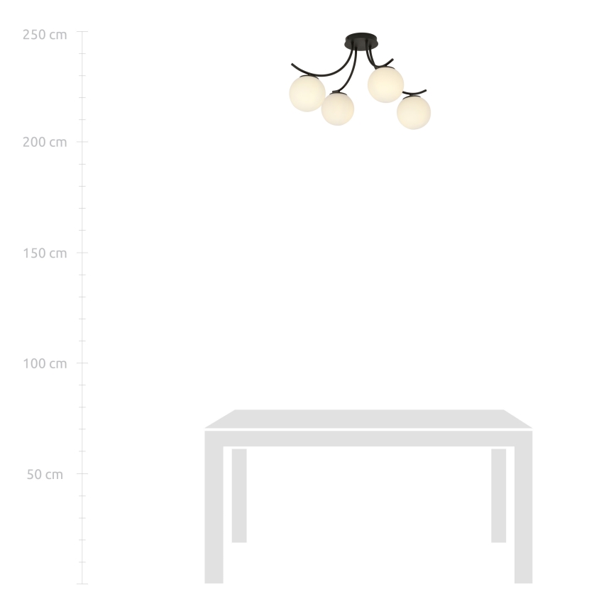 Surface-mounted chandelier BOSTON 4xE14/10W/230V black