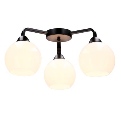 Surface-mounted chandelier CALDERA 3xE27/60W/230V black