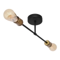 Surface-mounted chandelier CAMBRIDGE 2xE27/15W/230V black/golden