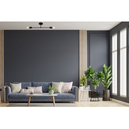 Surface-mounted chandelier CAMBRIDGE 2xE27/15W/230V black