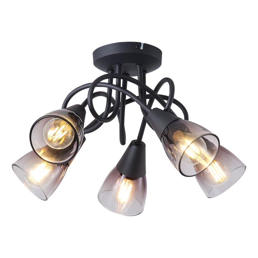 Surface-mounted chandelier CLASSY 5xE14/7W/230V