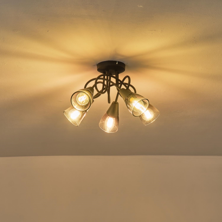 Surface-mounted chandelier CLASSY 5xE14/7W/230V