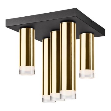 Surface-mounted chandelier DIEGO 5xE27/60W/230V