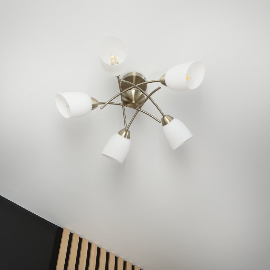 Surface-mounted chandelier DONNA 5xE27/60W/230V patina