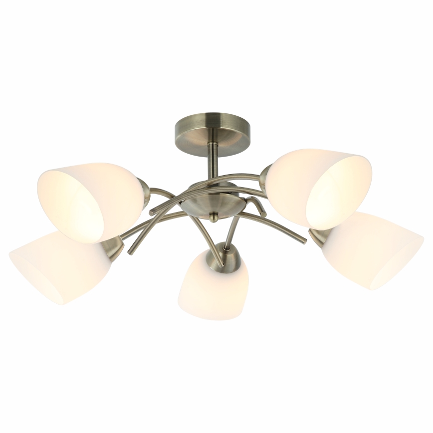 Surface-mounted chandelier DONNA 5xE27/60W/230V patina