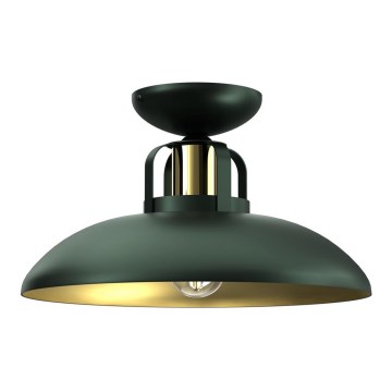 Surface-mounted chandelier FELIX 1xE27/60W/230V green