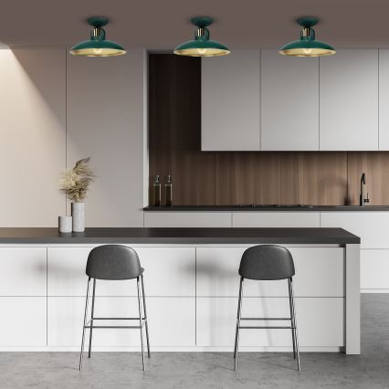 Surface-mounted chandelier FELIX 1xE27/60W/230V green