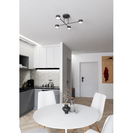 Surface-mounted chandelier HALO 4xGX53/10W/230V black