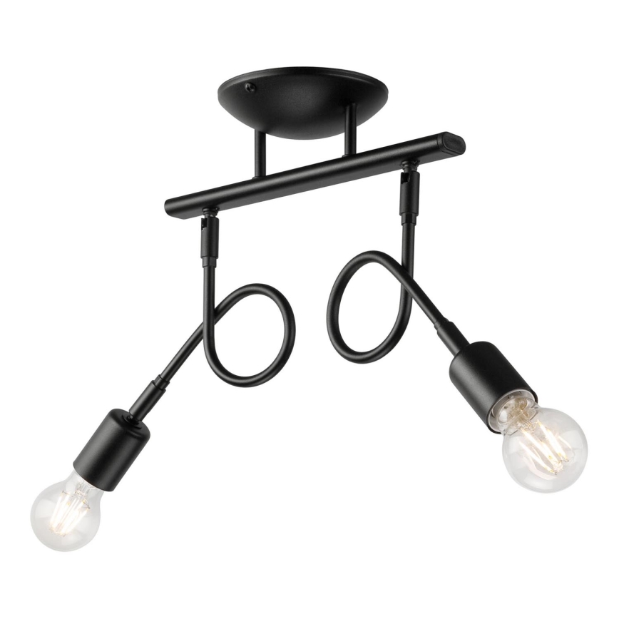 Surface-mounted chandelier HARRY 2xE27/60W/230V