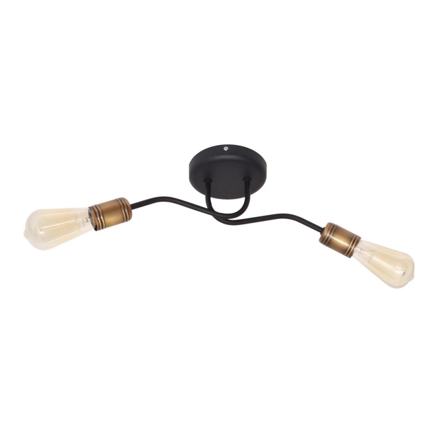 Surface-mounted chandelier HARVARD 2xE27/15W/230V