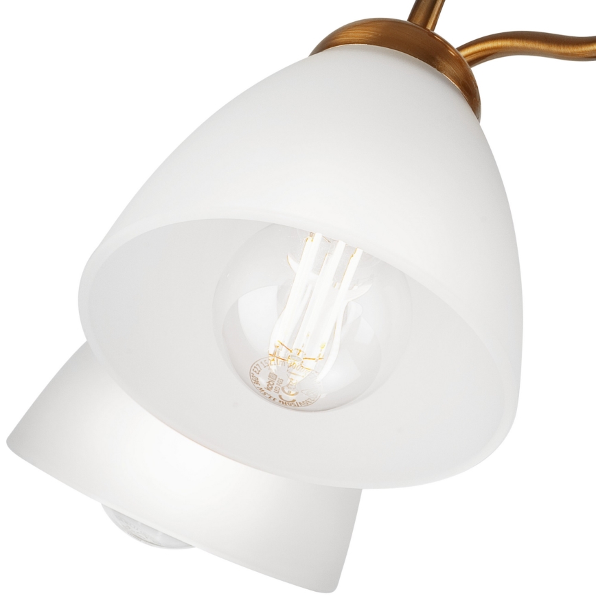 Surface-mounted chandelier MIRANDA 5xE27/60W/230V gold