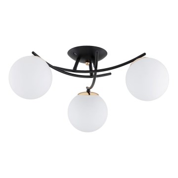 Surface-mounted chandelier SAVI 3xE14/10W/230V black/gold
