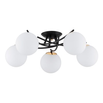 Surface-mounted chandelier SAVI 5xE14/10W/230V black/gold